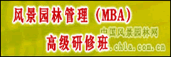 L(fng)@ֹMBA߼ް