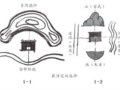 設(shè)計(jì)精神新論??從中國(guó)園林看堪輿與形式美的熔融