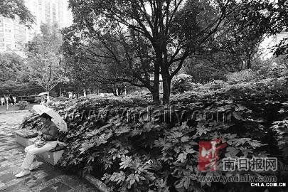 Ј@־GLǅ^(q)󣺎500׃(ni)оGaΈ@