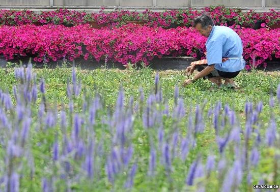 һ�����r�ڱ����Ј@�ֿƌW�о������������