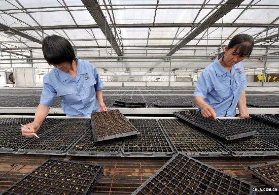 ���˼�(x��)������