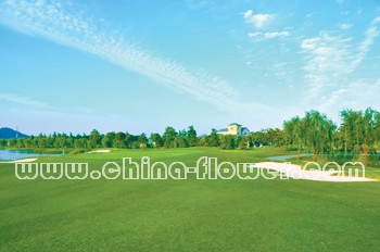 上海天馬高爾夫球場