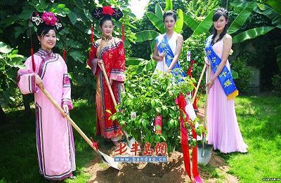 �Ҟ�W�\(y��n)�N�Ø�