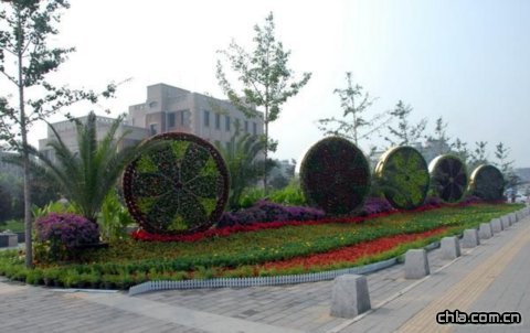 �������^���ܡ��Gɫ�W�\��