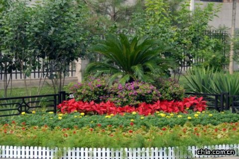 �������^���ܡ��Gɫ�W�\��