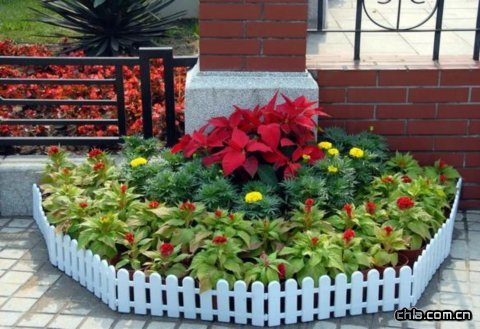 �������^���ܡ��Gɫ�W�\��