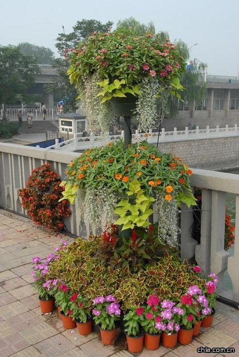 �������^���ܡ��Gɫ�W�\��