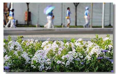 ���R�������B����