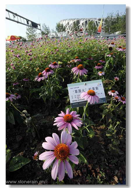 ���R�������B����