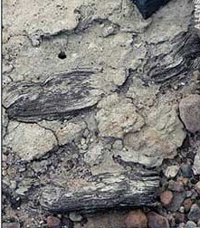 1400f(wn)ǰ(dng)ֲﻯʯ