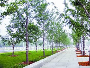 ������һ��(c��)���y�Ә��