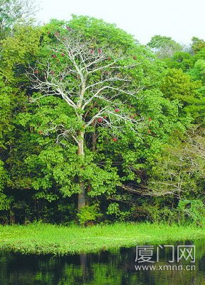 �B�T�@��Է