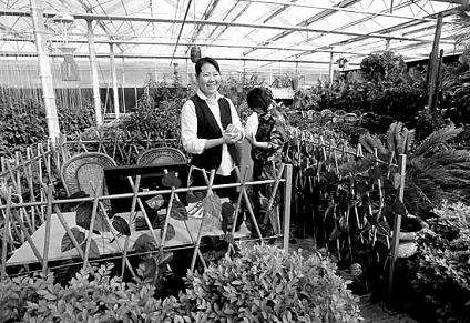 ӛ�ߺ���ǌ��L-С����ˮ�����w