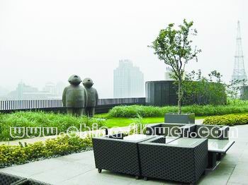 ����sohoȹ����픾G��һ��