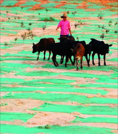 V||ݸһĵ䁾GWָlǙzy