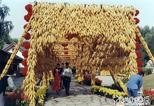 花壇(組圖)