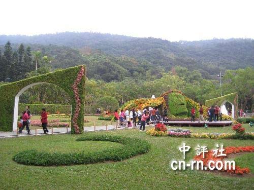 �Y��ʯ��ۡ���@�_�š��L(f��ng)����������(�M�D)