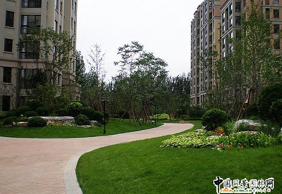 北京綠城百合公寓六標(biāo)段景觀工程
