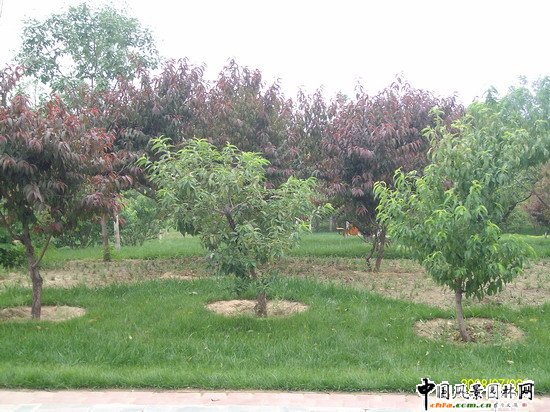 2008|֮гꖅ^Gx؅^Ұ@hOʩŘ˶ IҰ@һ