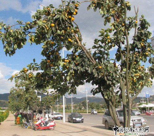 ��(gu��)��(n��i)�חl����(sh��)���^(gu��n)�������Ϫ����