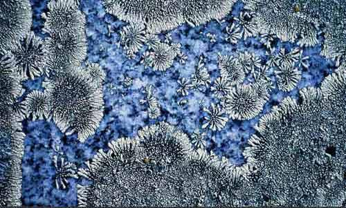 1@Lڼ~smChamplainеһKrĹϵ̦\