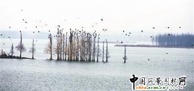 ��h���Y��ȫ�������Н�ع��@ ���߾��^(�D)