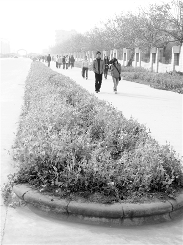 �ǅ^�G�������Ի��ݷN�߲�