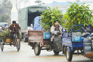 �ǸG����(n��i)��204��(gu��)���ɂ�(c��)���԰l(f��)�γ��˾d���L(zh��ng)�_(d��)5������y�ӌ��I(y��)�Ј�(ch��ng)��