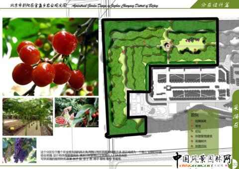 北林畢業作品之北京市朝陽區金盞鄉農業觀光園設計