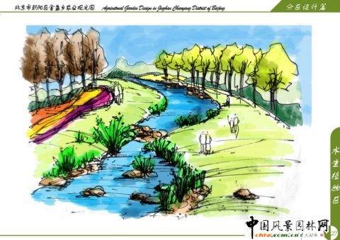 水生植物區(qū)