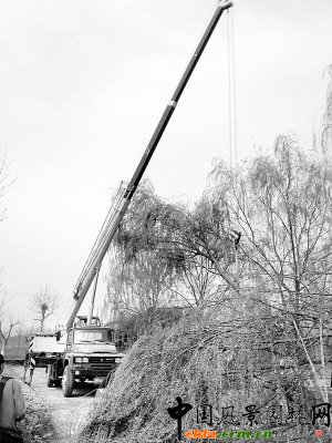 ����к����@�־ַe�O�M(j��n)����ľ���ؽ��O(sh��)(�D)