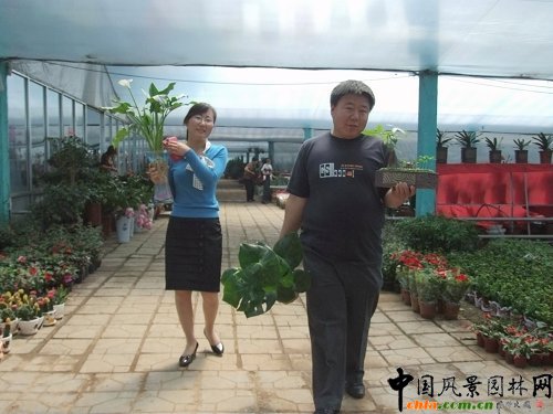 �����S���(zh��n)��"��һ"С�L�� �����N�ۮ�����(�M�D)