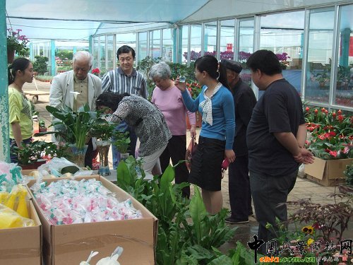 �����S���(zh��n)��"��һ"С�L�� �����N�ۮ�����(�M�D)