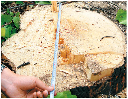 һ�ñ������ֱ����60���ס�