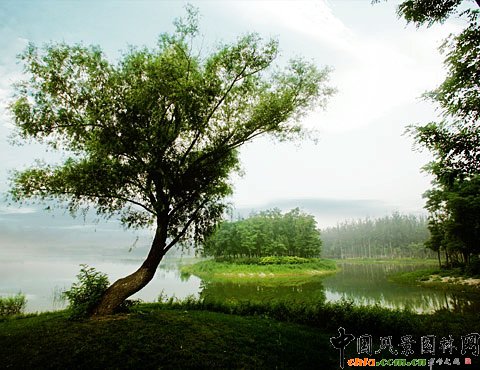 �W��ƥ��ɭ�ֹ��@��(sh��)��-���﹫�@�u��