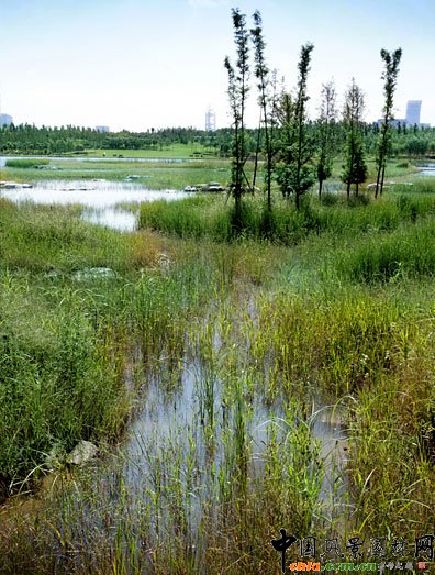 �W��ƥ��ɭ�ֹ��@����-��ؾ��^