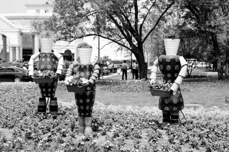 ��ֲ��ľ1205�f�� ���50����92��(g��)���Ϻ����@