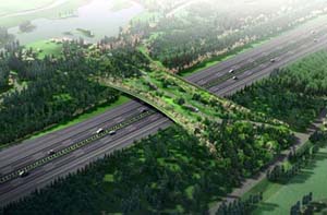 �W��ƥ��ɭ�ֹ��@���B�ȵ�