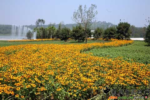 �W��ƥ��ɭ�ֹ��@������ڃɂȵ���Ȼʽ�Nֲ