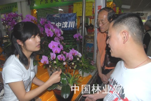 �D�黨ľ��I(y��)�T�����������B�a(ch��n)Ʒ��