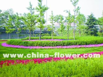 �������c�[��ȫ�憢��(d��ng)(�D)