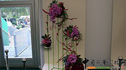 2009Рչ֮ˇOӋչ(MD)