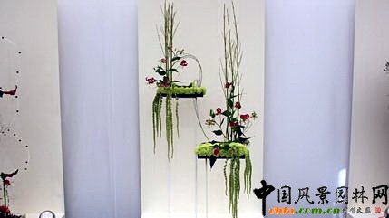 2009Рչ֮ˇOӋչ(MD)