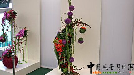 2009Рչ֮ˇOӋչ(MD)