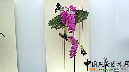 2009Рչ֮ˇOӋչ(MD)