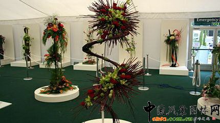 2009Рչ֮ˇOӋչ(MD)