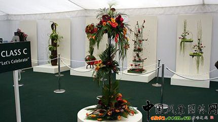 2009Рչ֮ˇOӋչ(MD)