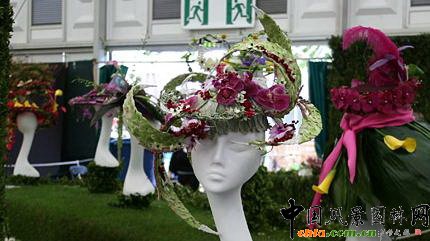 2009Рչ֮ˇOӋչ(MD)