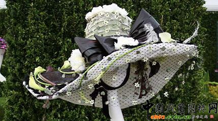 2009Рչ֮ˇOӋչ(MD)