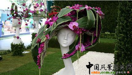 2009Рչ֮ˇOӋչ(MD)